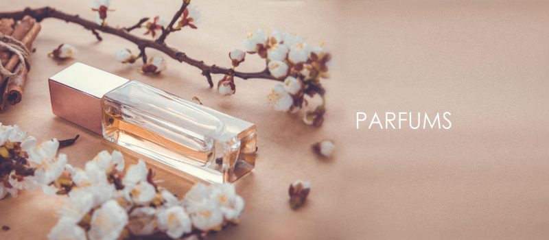 LSI Fragrances, solution logicielle métier