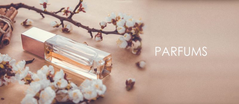 LSI,logiciel formulationparfum,logiciel réglementation parfum